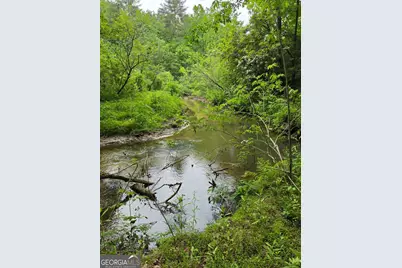 409 Harrison Sluder Road #140, Ellijay, GA 30540 - Photo 5