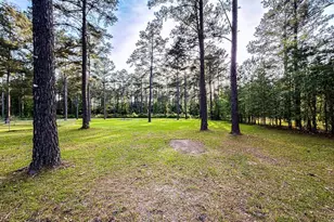 353 Alapaha River Dr, Alapaha, GA 31622 - Photo 41