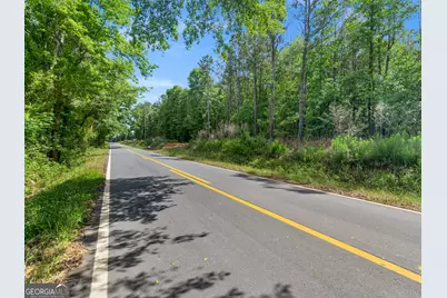 446 Parks Road, Forsyth, GA 31029 - Photo 11