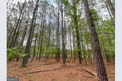 7517 Blacks Bluff Rd. SW (24 +/- Acres), Cave Spring, GA 30124 - Photo 7