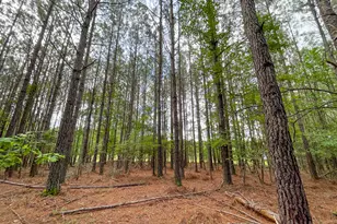 7517 Blacks Bluff Rd SW, Cave Spring, GA 30124 - Photo 7