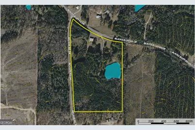 7517 Blacks Bluff Rd. SW (24 +/- Acres), Cave Spring, GA 30124 - Photo 55