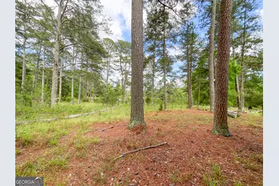 7517 Blacks Bluff Rd. SW (24 +/- Acres), Cave Spring, GA 30124 - Photo 47