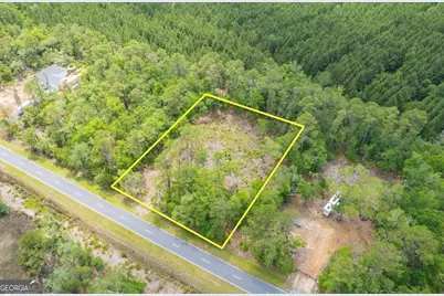 0 Piney Bluff Lot 5 Road, Waverly, GA 31565 - Photo 19