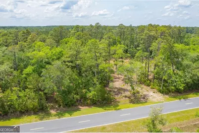 0 Piney Bluff Lot 5 Road, Waverly, GA 31565 - Photo 23