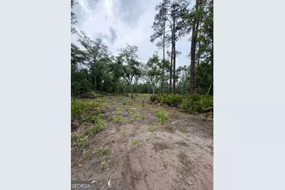 0 Piney Bluff Lot 5 Road, Waverly, GA 31565 - Photo 7