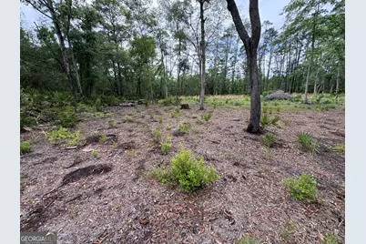 0 Piney Bluff Lot 5 Road, Waverly, GA 31565 - Photo 1