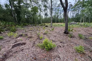 0 Piney Bluff Lot 5 Rd, Waverly, GA 31565 - Photo 1
