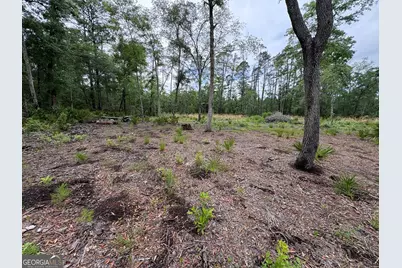 0 Piney Bluff Lot 5 Road, Waverly, GA 31565 - Photo 5