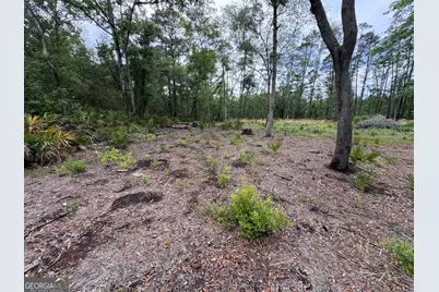 0 Piney Bluff Lot 5 Road, Waverly, GA 31565 - Photo 3