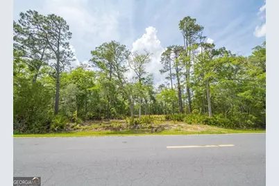 0 Piney Bluff Lot 5 Road, Waverly, GA 31565 - Photo 21