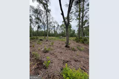 0 Piney Bluff Lot 5 Road, Waverly, GA 31565 - Photo 5