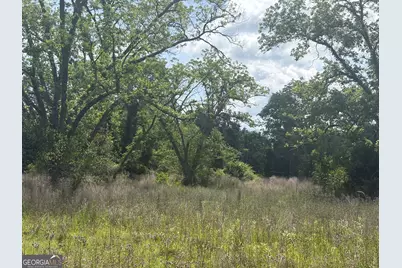 0 East Road, Fitzgerald, GA 31750 - Photo 3