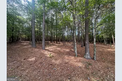 1309 Jarrell Pond Road, Sylvania, GA 30467 - Photo 7