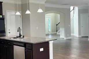 101 Brandywine Ct, Ludowici, GA 31316 - Photo 9