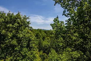 547 Echo Road, Morganton, GA 30560 - Photo 5