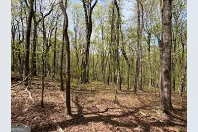Lot 26 Falcons Nest #26, Jasper, GA 30143 - Photo 1