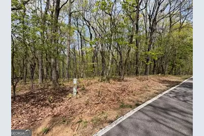 Lot 26 Falcons Nest #26, Jasper, GA 30143 - Photo 3