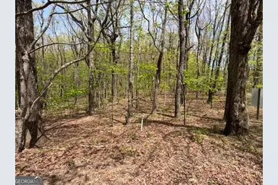 Lot 26 Falcons Nest #26, Jasper, GA 30143 - Photo 5