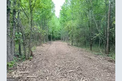 0 Wildlife Lake Road, Summerville, GA 30747 - Photo 5