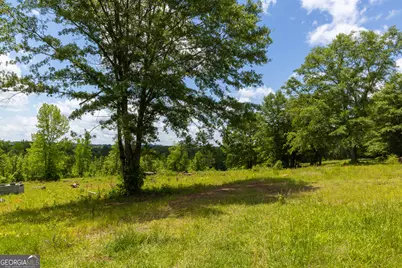 655 White Road, Thomaston, GA 30286 - Photo 13