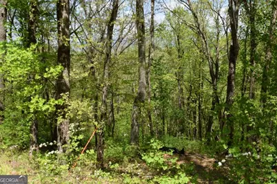 Lot 189 Hawks Nest Court #189, Ellijay, GA 30536 - Photo 7