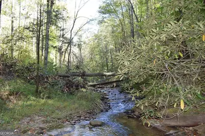 Lot 189 Hawks Nest Court #189, Ellijay, GA 30536 - Photo 13