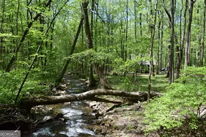 Lot 189 Hawks Nest Court #189, Ellijay, GA 30536 - Photo 11