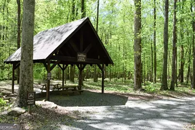 Lot 189 Hawks Nest Court #189, Ellijay, GA 30536 - Photo 9