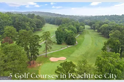 1150 Blair Lane, Peachtree City, GA 30269 - Photo 71
