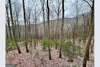 163 Little Rock Creek Trail #9, Cherrylog, GA 30522 - Photo 5