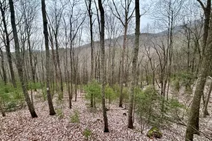 163 Little Rock Creek Trl, Cherrylog, GA 30522 - Photo 5