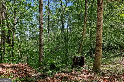 4 Acres Dancing Bear Trail, Clayton, GA 30525 - Photo 17