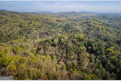 258 Dupont Drive, Blue Ridge, GA 30513 - Photo 39