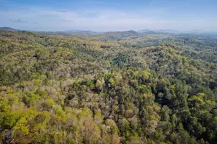 258 Dupont Drive, Blue Ridge, GA 30513 - Photo 39