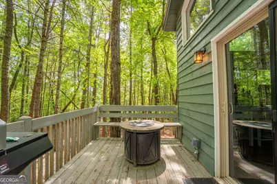 254 Star Lake Lane, Sautee Nacoochee, GA 30571 - Photo 43