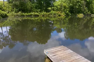 5134 Hwy 17, Clarkesville, GA 30523 - Photo 69