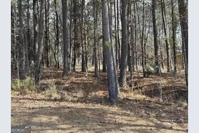 1191 Lakeview Court, Greensboro, GA 30642 - Photo 11