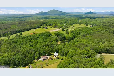 850 Preacher Campbell Rd, Clarkesville, GA 30523 - Photo 85