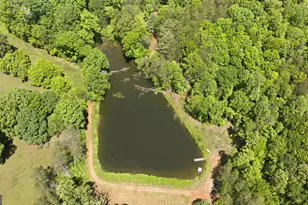 850 Preacher Campbell Rd, Clarkesville, GA 30523 - Photo 83