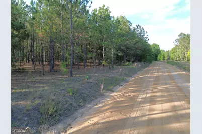 3570 William Dennis Road, Cadwell, GA 31009 - Photo 13