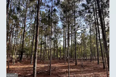 3570 William Dennis Road, Cadwell, GA 31009 - Photo 19
