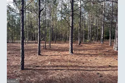 3570 William Dennis Road, Cadwell, GA 31009 - Photo 23
