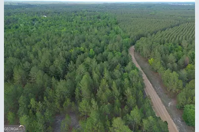 3570 William Dennis Road, Cadwell, GA 31009 - Photo 9
