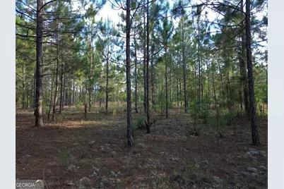 3570 William Dennis Road, Cadwell, GA 31009 - Photo 17