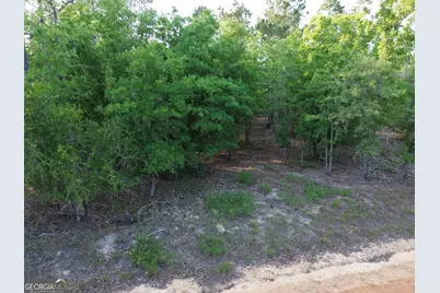 3570 William Dennis Road, Cadwell, GA 31009 - Photo 15
