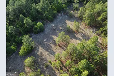 3570 William Dennis Road, Cadwell, GA 31009 - Photo 3