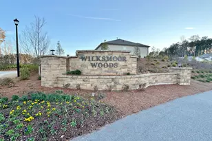 410 Kinross Ln, Peachtree City, GA 30269 - Photo 41