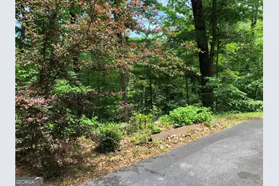 783 Henderson Falls Road, Toccoa, GA 30577 - Photo 37