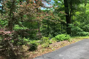 783 Henderson Falls Rd, Toccoa, GA 30577 - Photo 37